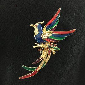 Colorful Enamel and Rhinestone Bird Brooch, Large